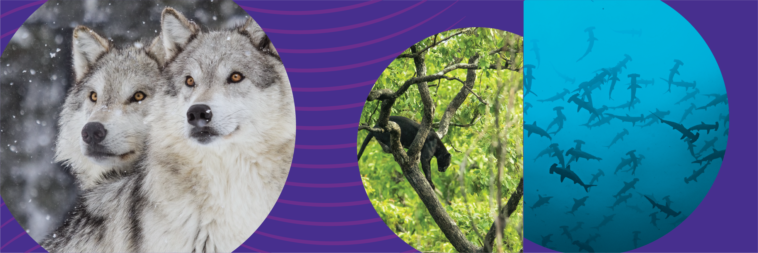 Start a Reservation visual data 8