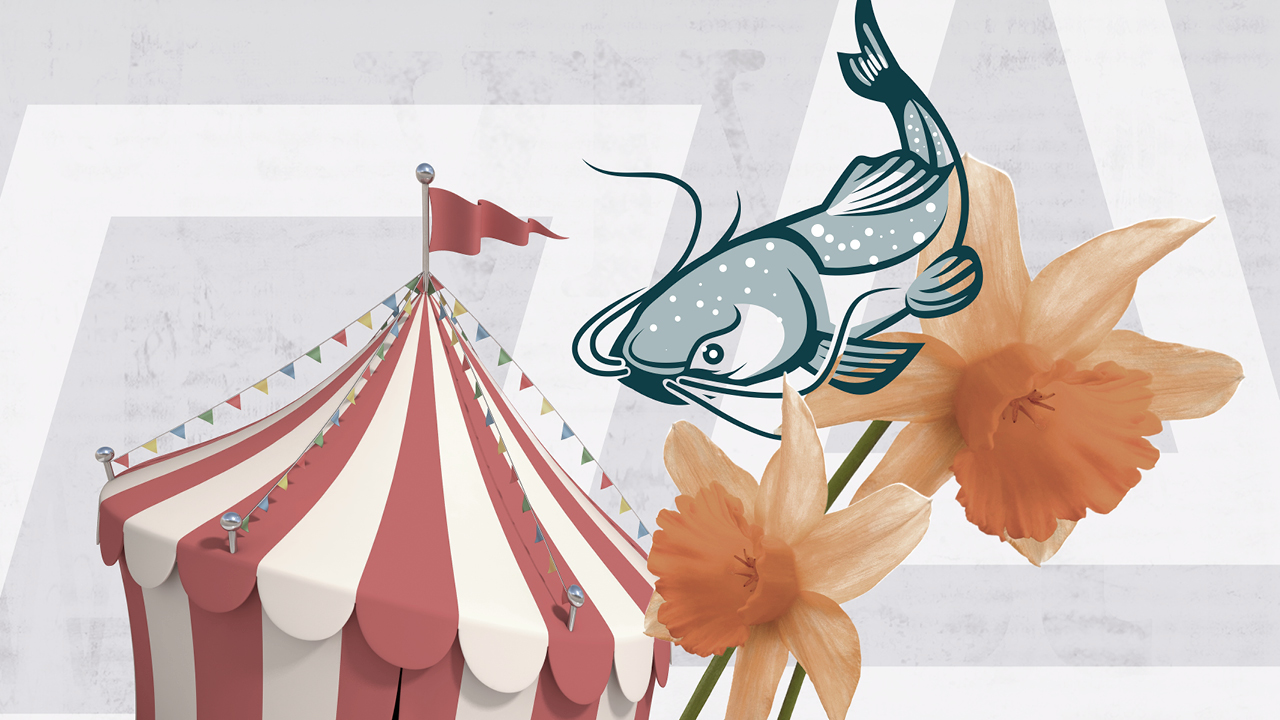 Catfish. Daffodils. Carnival tent.
