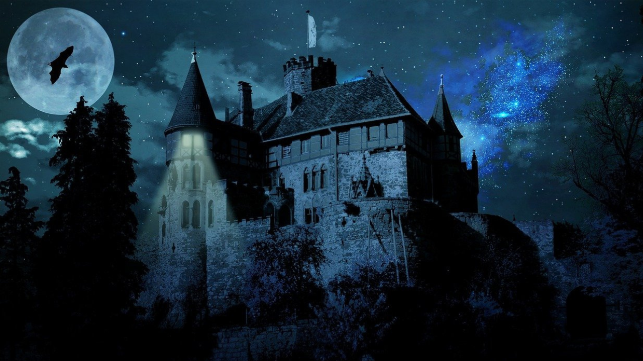Gothic Castle at night, surrounded by trees, stars, moon, clouds, and flying bat.
