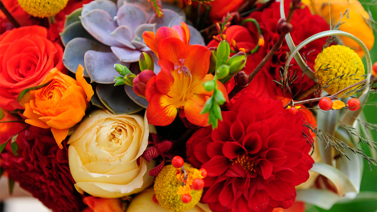 Bouquet of flowers.