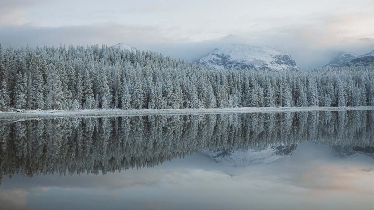 Photograph of the Rocky Mountains with peaks and snowy trees being reflected on a mountain lake.
