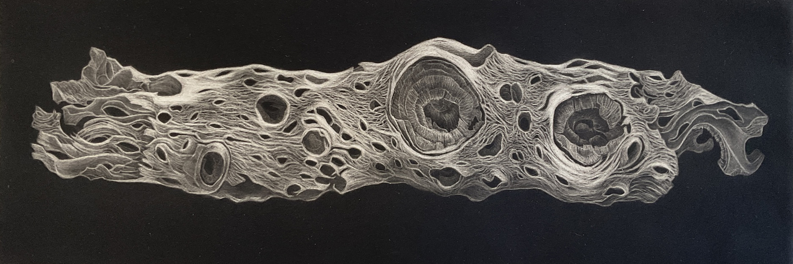 Black and white Mezzotint artwork