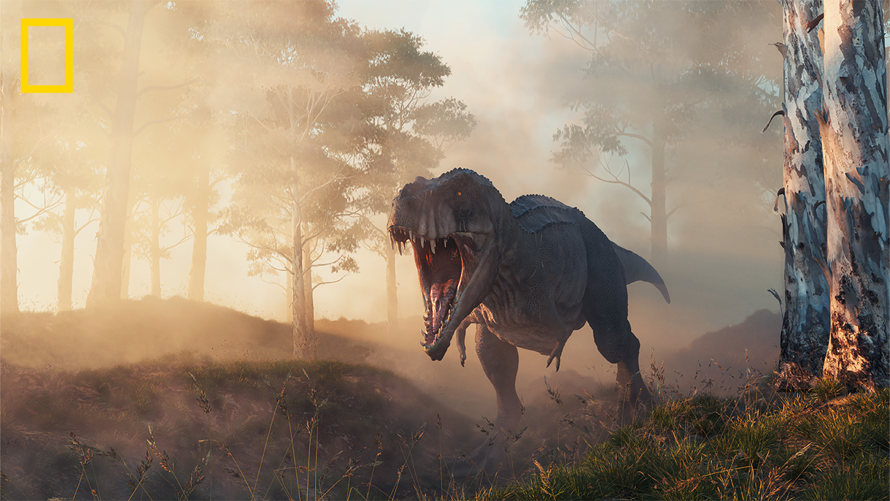 Graphic rendering of a T. rex in the woods